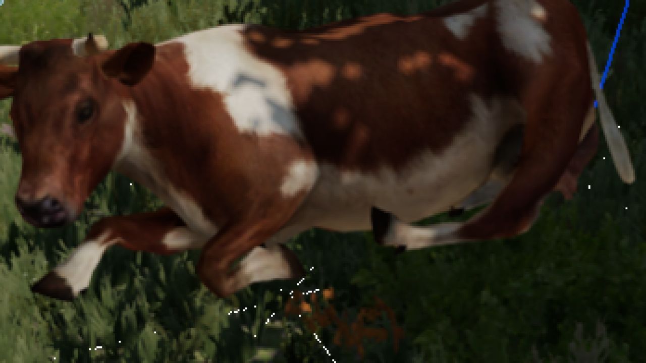 Cow