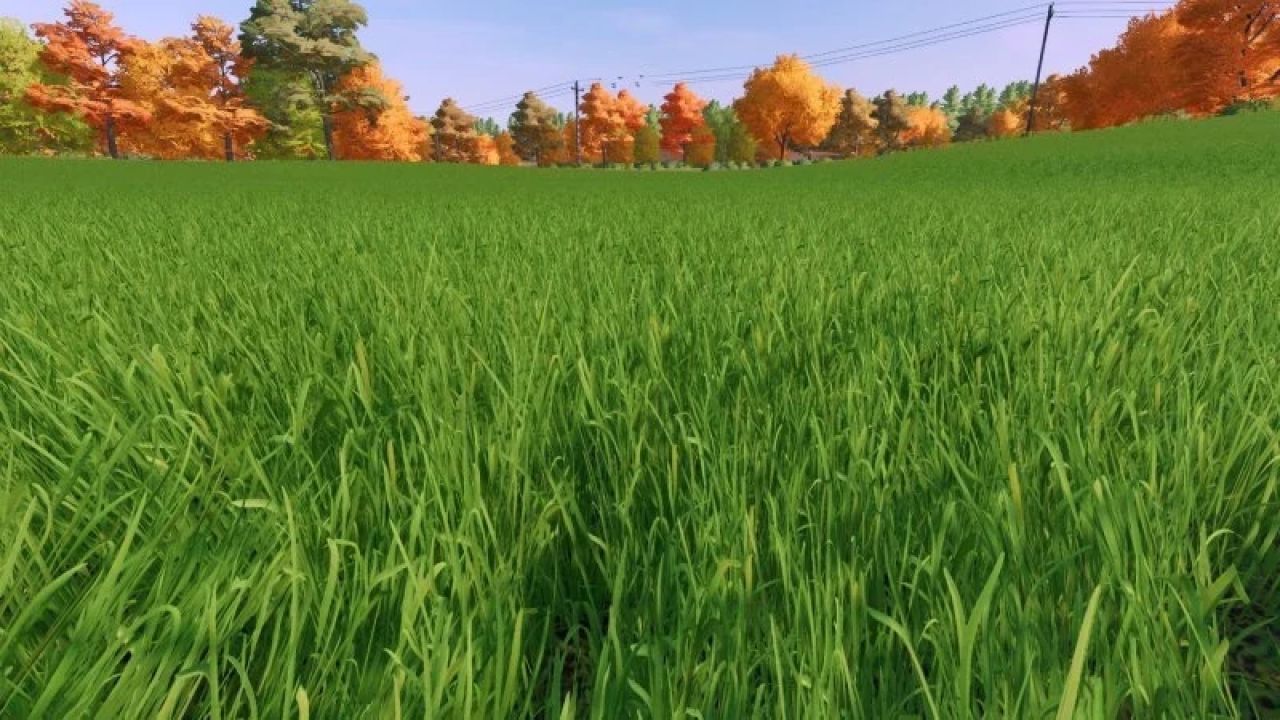 Improved grass texture